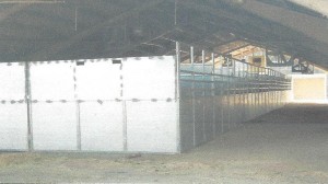 equestrian center additional stalls