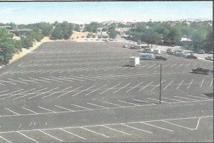 oak tree parking lot